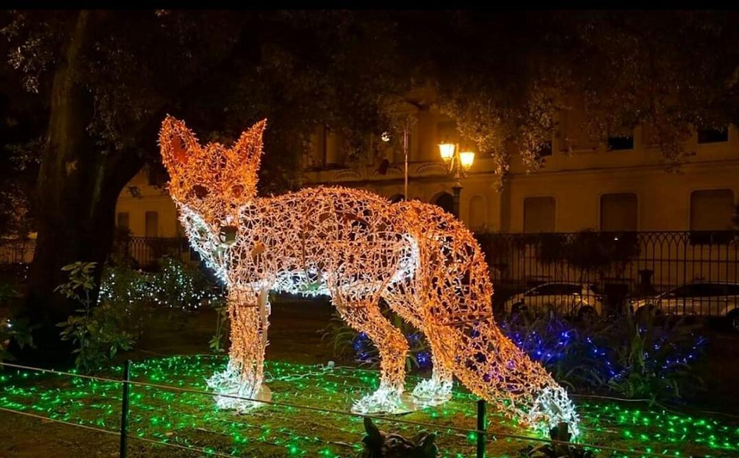 Oasi Al Centro Con Parcheggio Bed & Breakfast Salerno Dış mekan fotoğraf